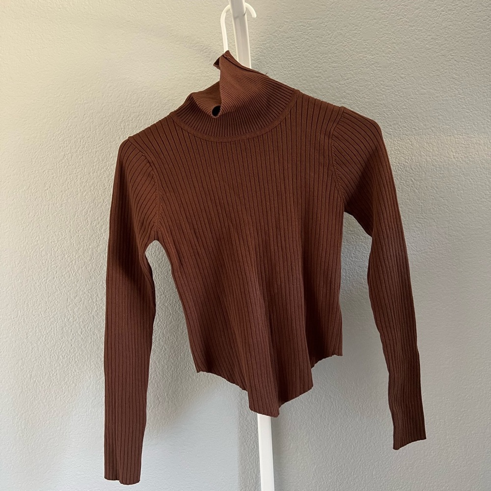Brown Turtleneck